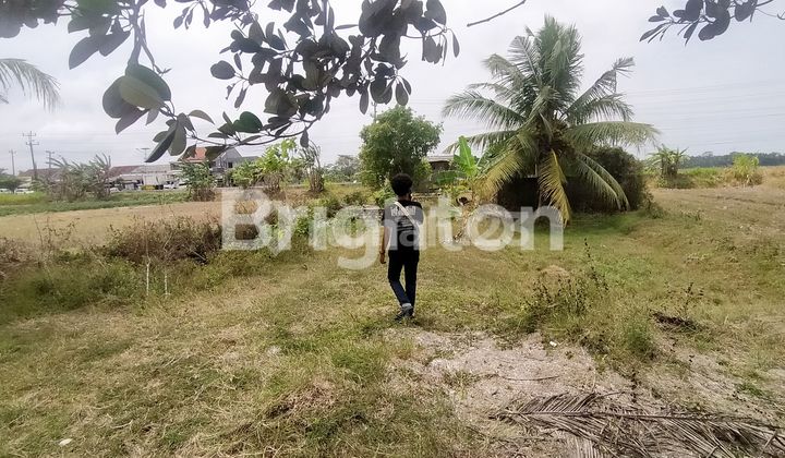 BANGUNAN HITUNG TANAH LUAS HANYA 10 MENIT DARI BANDARA NYIA 2