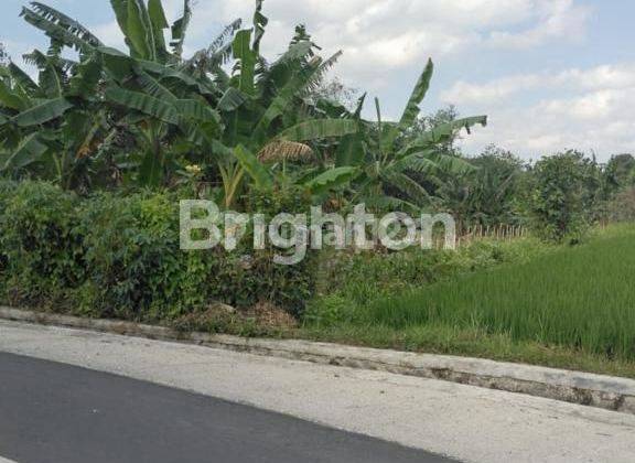 LAND READY TO BUILD FOR VILLA IN TANAH LOT TABANAN AREA (JTI169) 2