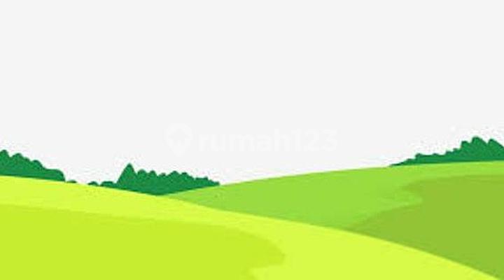 Flash Sale! Murah dan Stategis! Tanah di Sunter! Flash Sale! Murah dan Stategis! Tanah di Sunter!