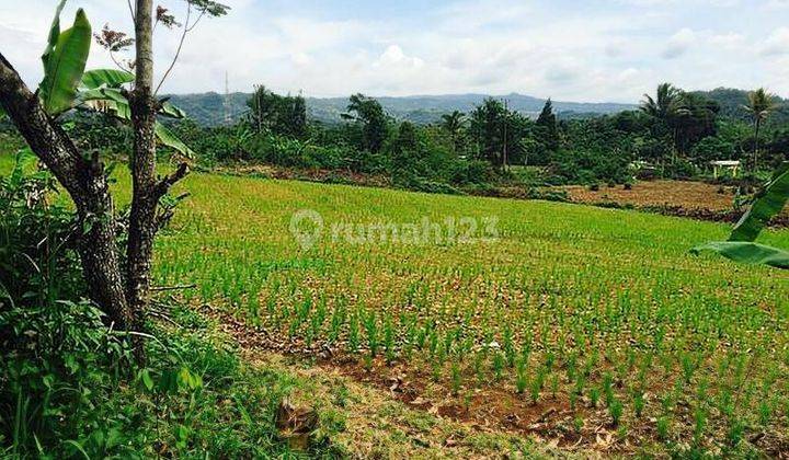 Perkebunan Jampang Tengah Sukabumi Selatan 2