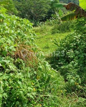 Cijengkol cianjur tanah dijual 1