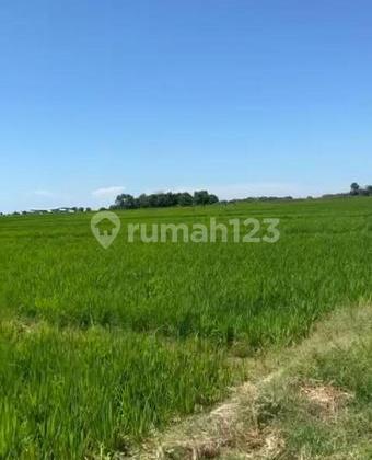 Kertajati Kertasari Village, Kaso block, land location very close to Kertajati Airport.