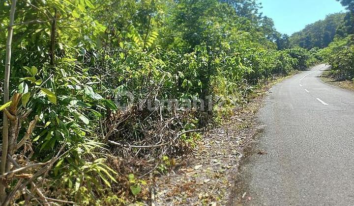 Maratua plot location next to Arasatu resort to the south.