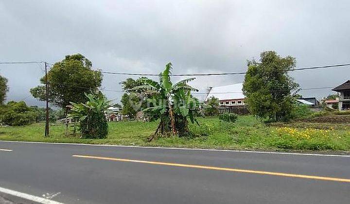 Tanah Komersil, Hook, Kawasan Berkembang Pinggir Jalan Raya Sonder Atas Minahasa Manado 1