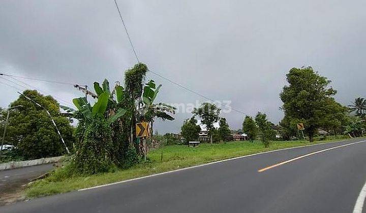 Tanah Komersil, Hook, Kawasan Berkembang Pinggir Jalan Raya Sonder Atas Minahasa Manado 1