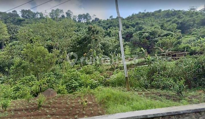 Maribaya tanah dekat burgundy maribaya Dan hot water spring maribaya dijual