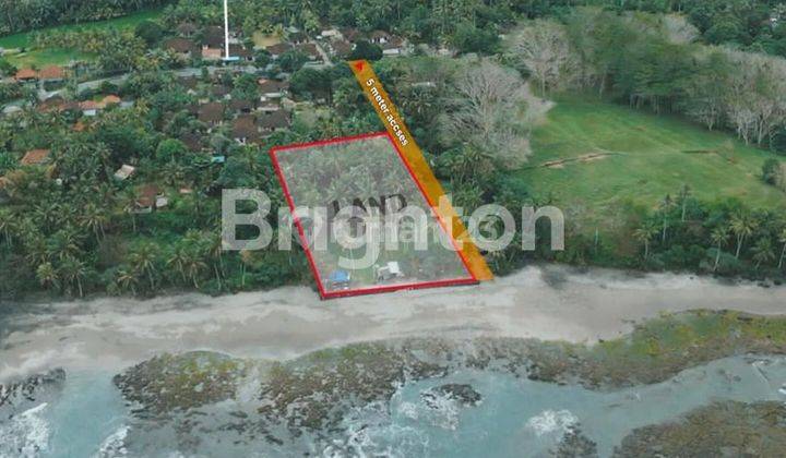 LAHAN BEACHFRONT DENGAN BIBIR PANTAI CUKUP LEBAR DI TABANAN - BALI 2