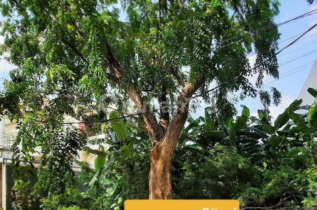 tanah sunter bisma jakarta utara tanah sunter bisma jakarta utara