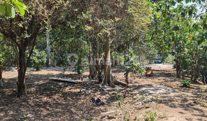 FOR FREEHOLD LAND IN THE GREAT AREA SEMINYAK