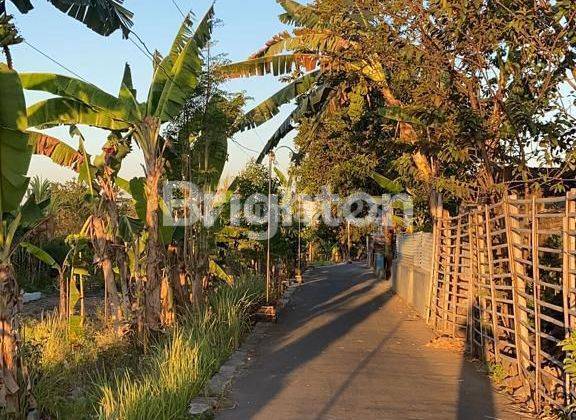 TANAH LUAS ZONA KUNING DI SUMBUREJO KLATEN 2