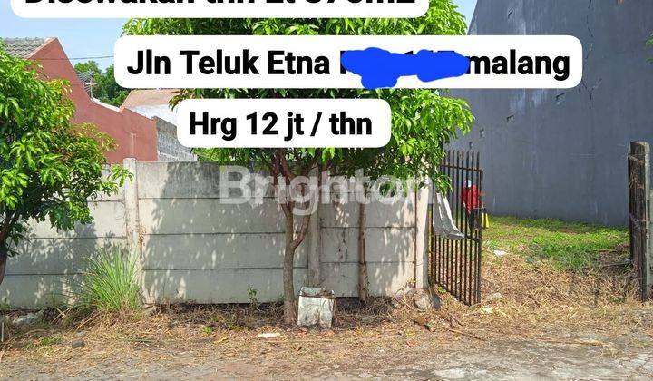 Tanah jalan teluk Etna 1