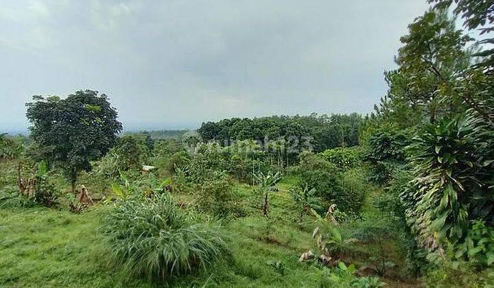 Tanah Di kaki Gunung Salak 2