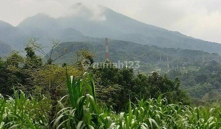 Tanah Di kaki Gunung Salak 1