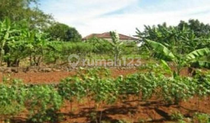 Banyumanik, Kota Semarang, Jawa Tengah 50261, Indonesia 2