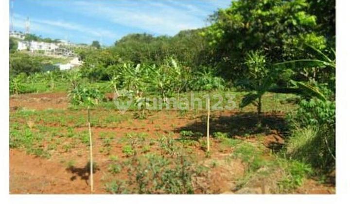 Banyumanik, Kota Semarang, Jawa Tengah 50261, Indonesia 1