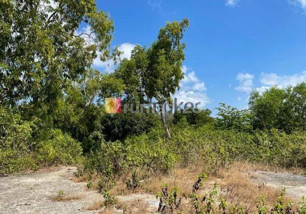 Land for sale suitable for resorts and hotels in Bali 2