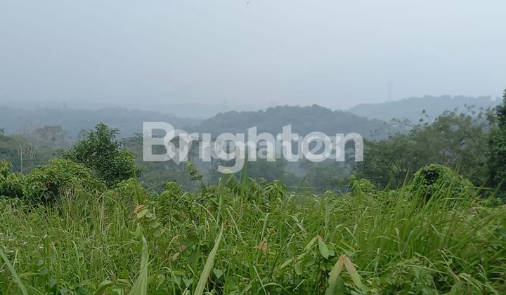 CEPAT KAVLING SIAP BANGUN 12.000M2, VIEW LANDSCAPE INDAH, DESA MEKARWANGI CARIU BOGOR