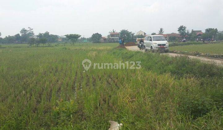 Tanah Sapan Peruntukan Gudang 2