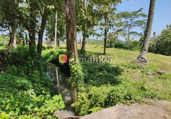 Land For Sale In Tabanan Area Close to Raya DenpasarGilimanuk Road 2