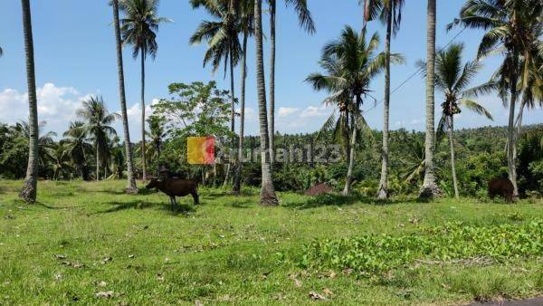 Land For Sale In Tabanan Area Close to Raya DenpasarGilimanuk Road 1