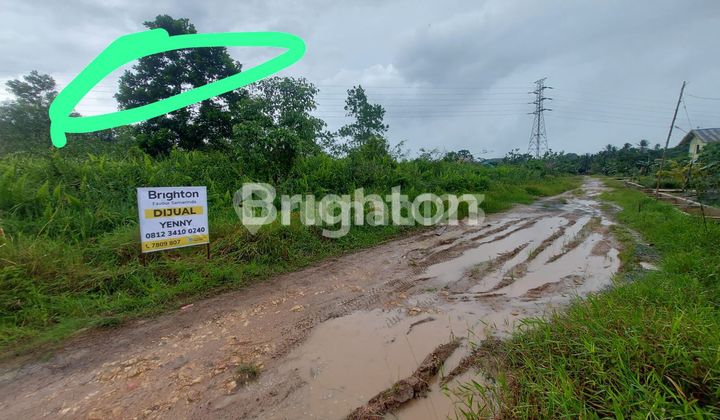 TANAH SHM LUAS 1 HEKTAR DI JL KOPI