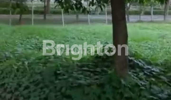 TANAH CITRALAND ALAM HIJAU TANAH CITRALAND ALAM HIJAU