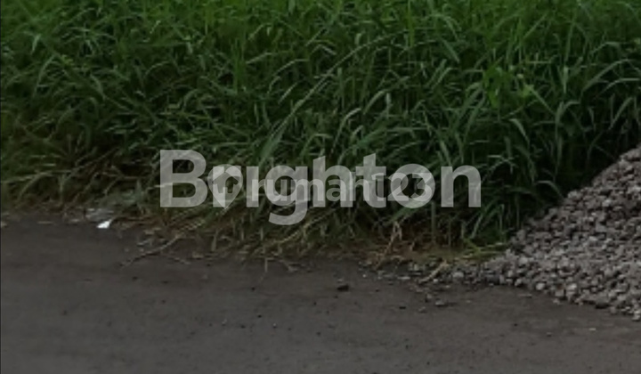 Waterfront Citraland Plot, West Surabaya