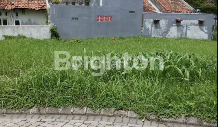 TANAH CITRALAND BUKIT PALMA TANAH CITRALAND BUKIT PALMA