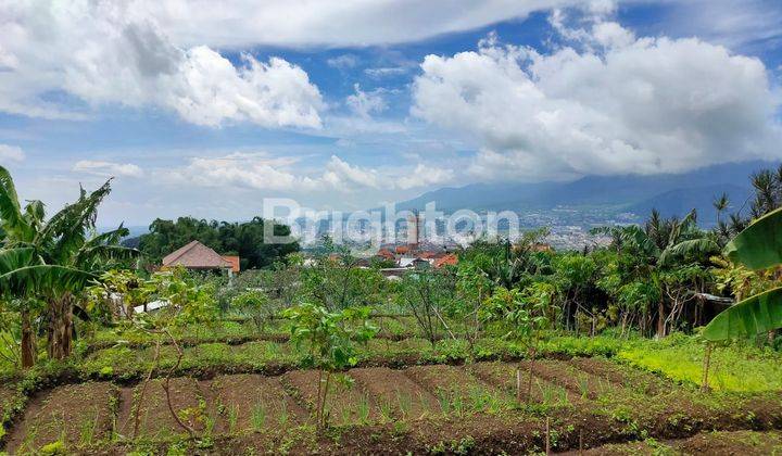 Tanah murah bersertifikat daerah Bumi Aji arah Selecta kota Batu 1