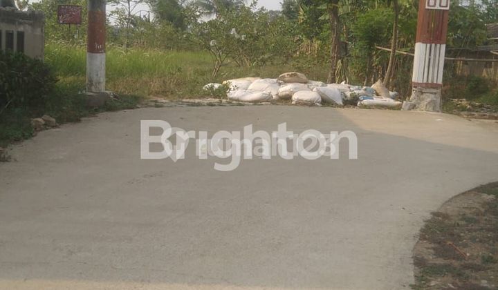 TANAH KAVLING SAMPING PERUMAHAN KURIPAN REGENCY, JL.KURIPAN DESA KURIPAN CISEENG BOGOR TANAH KAVLING SAMPING PERUMAHAN KURIPAN REGENCY, JL.KURIPAN DESA KURIPAN CISEENG BOGOR