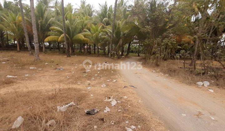 Tanah di Tanjung Desa Medana Lombok Utara 1