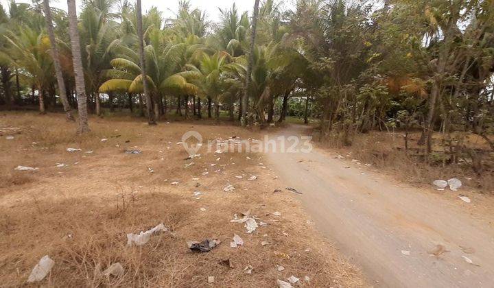 Tanah di Tanjung Desa Medana Lombok Utara 2