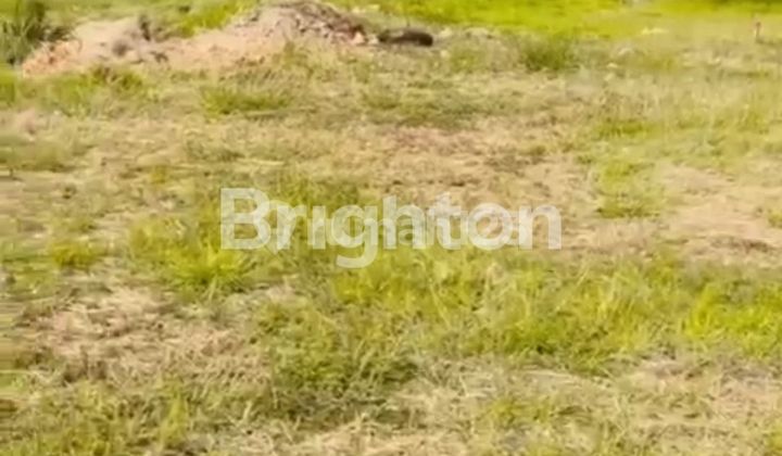 TANAH TENGAH KOTA DENGAN HARGA TERJANGKAU DI MUKTIHARJO KIDUL 2