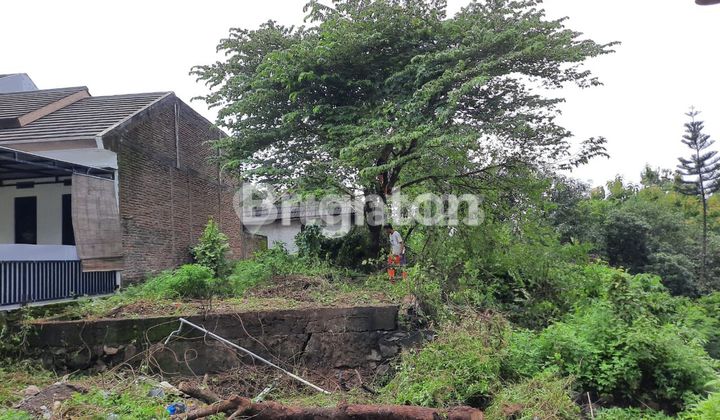 LAND IN MULAWARMAN NEAR UNDIP TEMBALANG 1