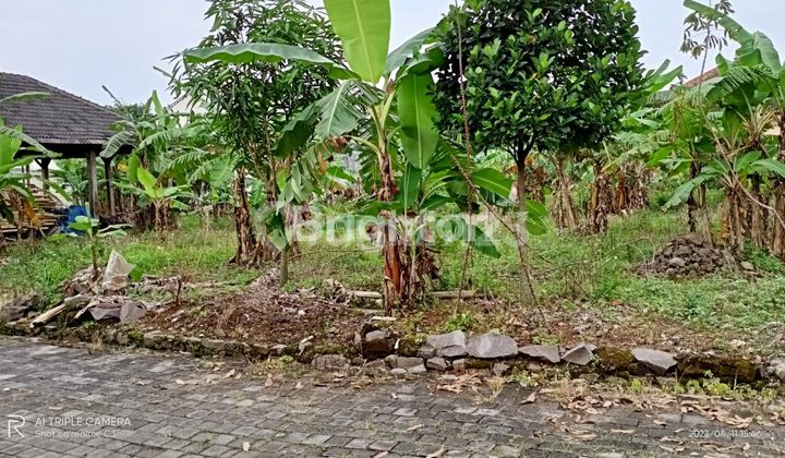 WIDE LAND NEAR UNDIP TEMBALANG 1