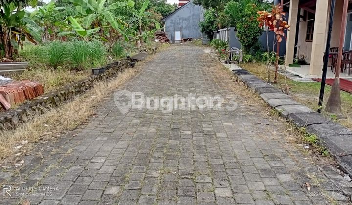 WIDE LAND NEAR UNDIP TEMBALANG 2