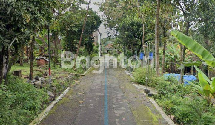 TANAH LUAS,HANYA 25 METER DARI JALAN UTAMA (JL.SURUH - KARANGGEDE )  - TP001 1