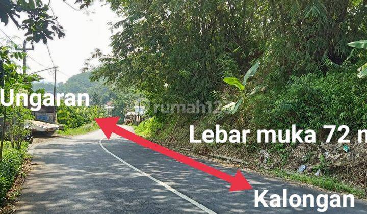 Tanah Dengan Luas 5460m Di Ungaran Timur Cocok Dibangun Perumahan 1