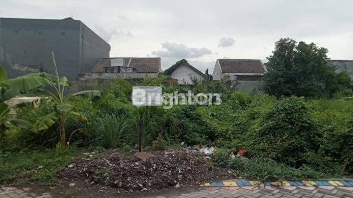 Kavling Tanah Medayu Utara Lokasi Padat Penduduk Dekat Rungkut  1