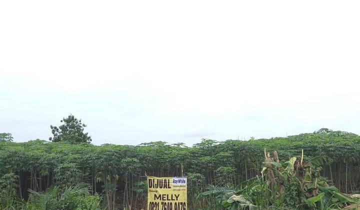 Tanah di Gunung Sugih 2