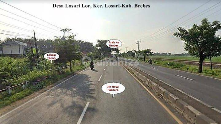 tanah industri di Losari, Brebes, Jawa Tengah seluas 20 hektar 2