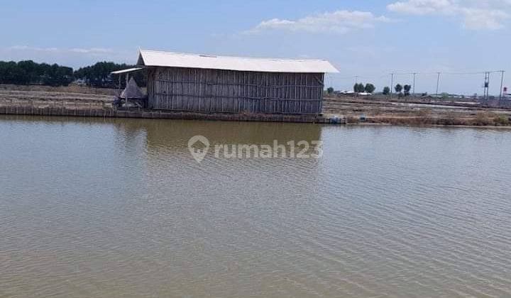 Lahan Tambak Udang/Ikan Malakasari Gebang Cirebon 1