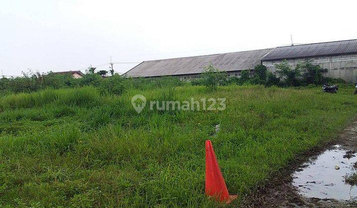 Tanah Murah Dekat Terminal Bubulak Jl Raya Laladon Bogor 2