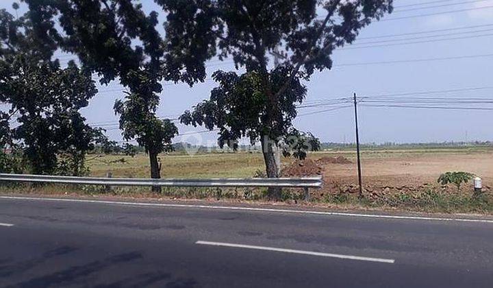 Tanah Industri dipinggir Jalan Raya Pantura Brebes 1