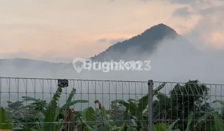 TANAH LUAS DI GRANADA LAND CARIU JONGGOL BOGOR TIMUR TANAH LUAS DI GRANADA LAND CARIU JONGGOL BOGOR TIMUR