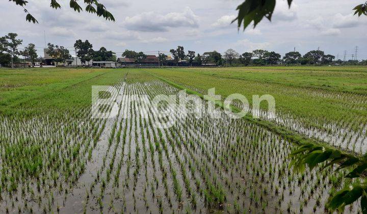 TANAH KERING & STRATEGIS DEPAN POM BENSIN & TOKO JUMBO - BAKI 2