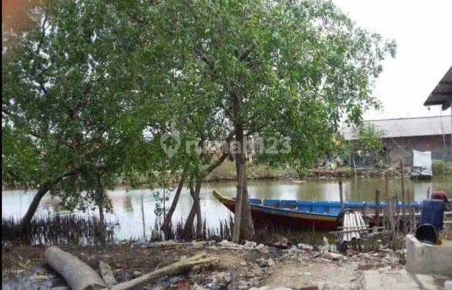 Tambak Ikan Luas Di Muara Gembong Bekasi S7017 2