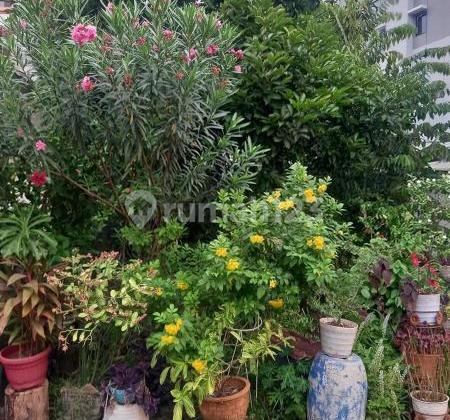 Land in Ubud Loka Area, Lippo Karawaci