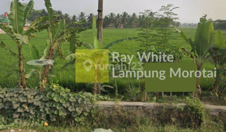 Tanah Sawah Irigasi Produktif ch 2