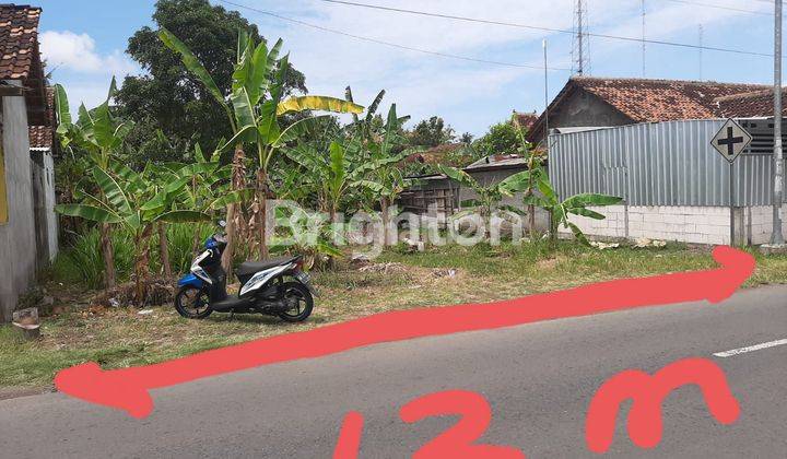 TANAH STRATEGIS PINGGIR JALAN ASPAL DEKAT BALAI DESA SIDOMULYO 1